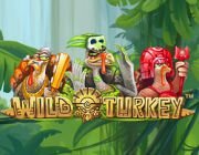 Онлайн игровой автомат Wild Turkey - 777